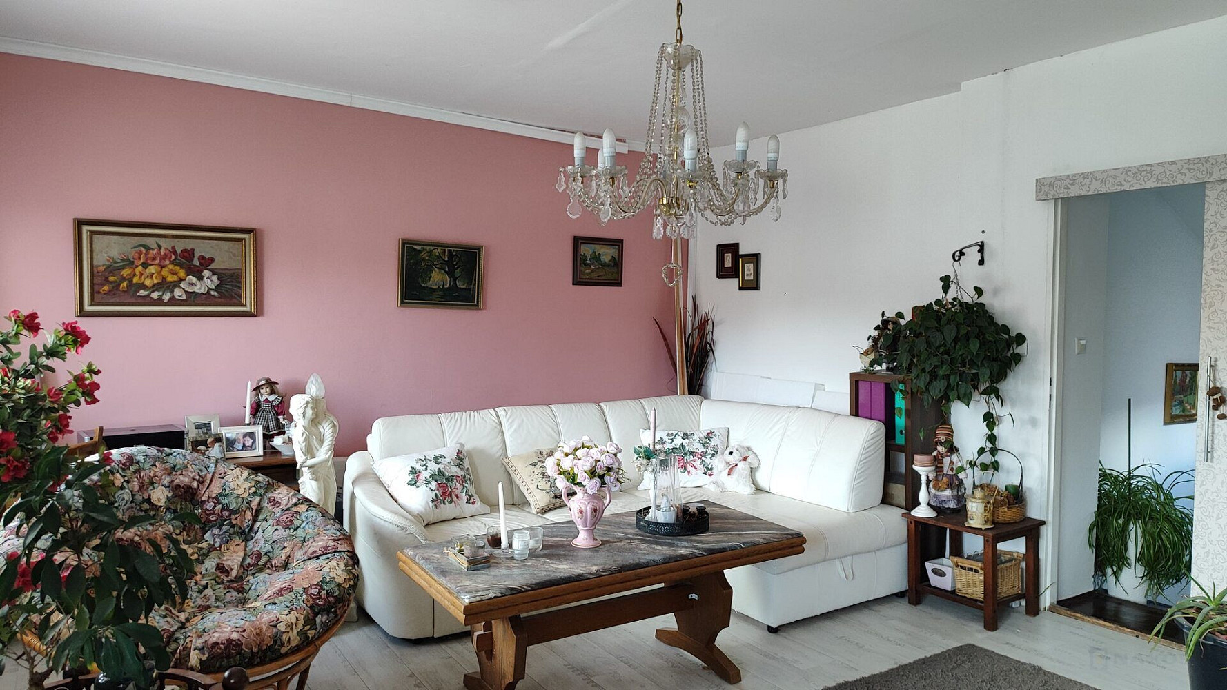 Fotka 11 z 12