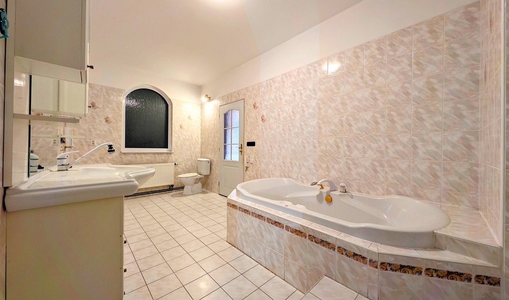 Prodej obchodních prostor 520 m², Březník – náhled fotky 20