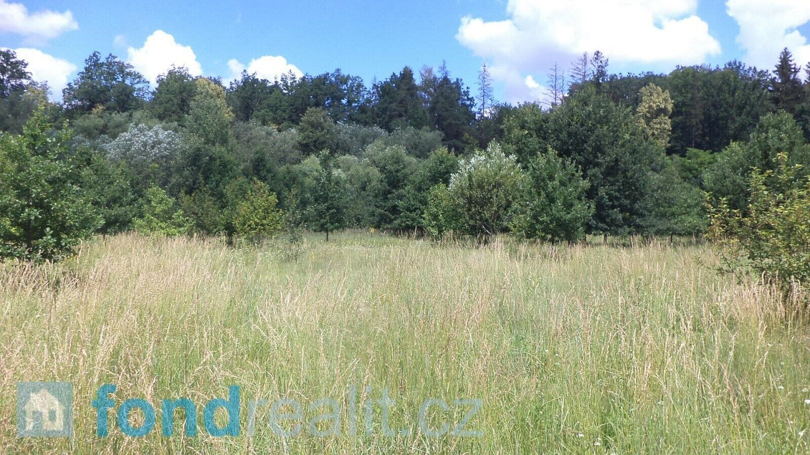 Prodej pozemku 12 879 m²