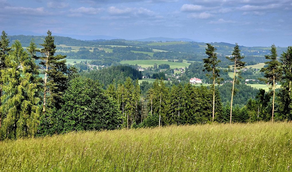 Prodej louky 10 451 m², Vlastiboř – náhled fotky 4