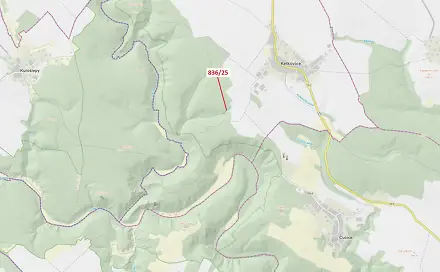 Dražba lesa 907 m², Ketkovice