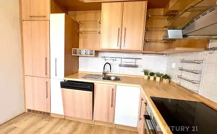 Pronájem bytu 3+kk 93 m², Prokopa Holého, Znojmo