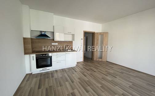 Pronájem bytu 1+kk 33 m², České Budějovice - České Budějovice 5