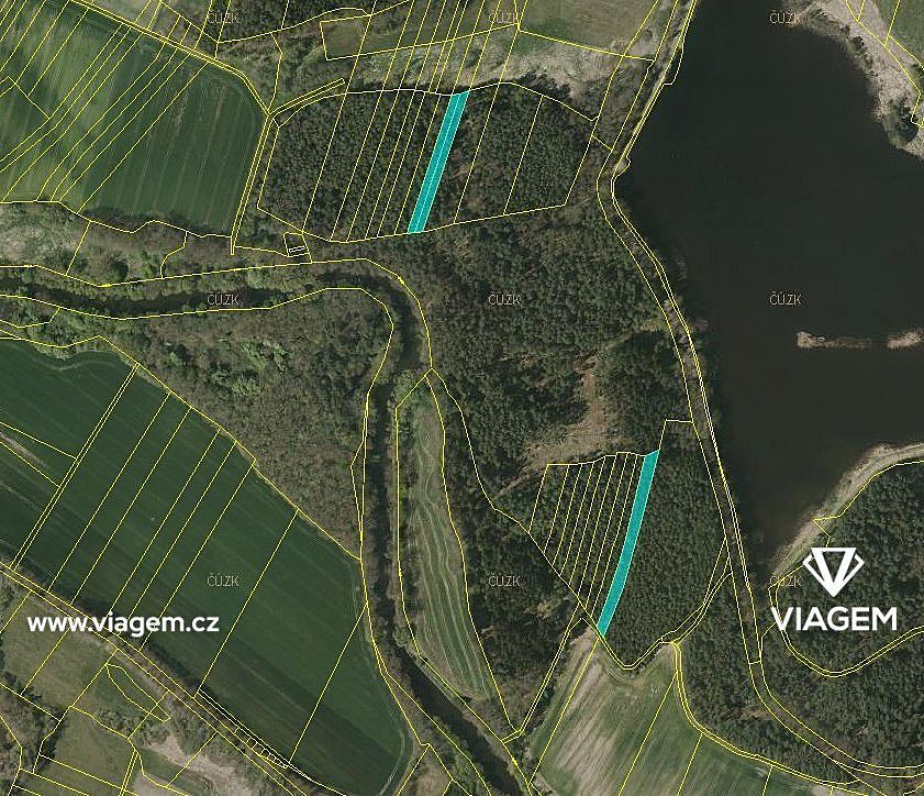 Prodej lesa 3 880 m²