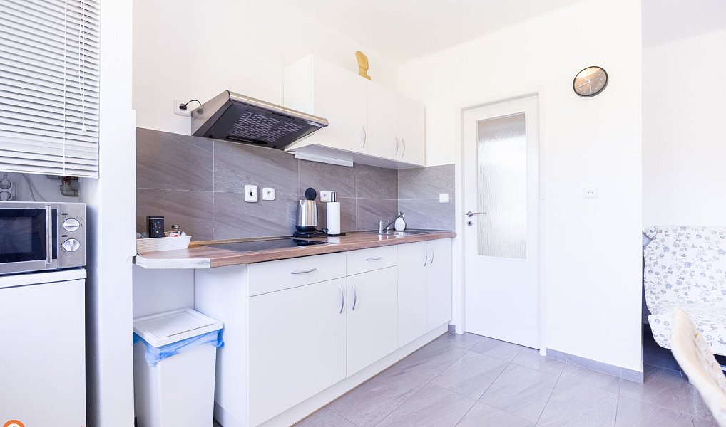 Prodej chaty/chalupy 450 m² s pozemkem 3 353 m², Staré Město – náhled fotky 5