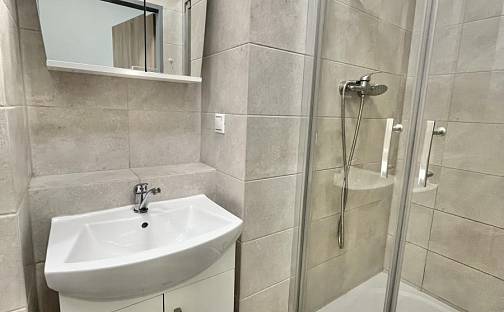Pronájem bytu 2+kk 50 m², Havlíčkova, Plzeň - Jižní Předměstí