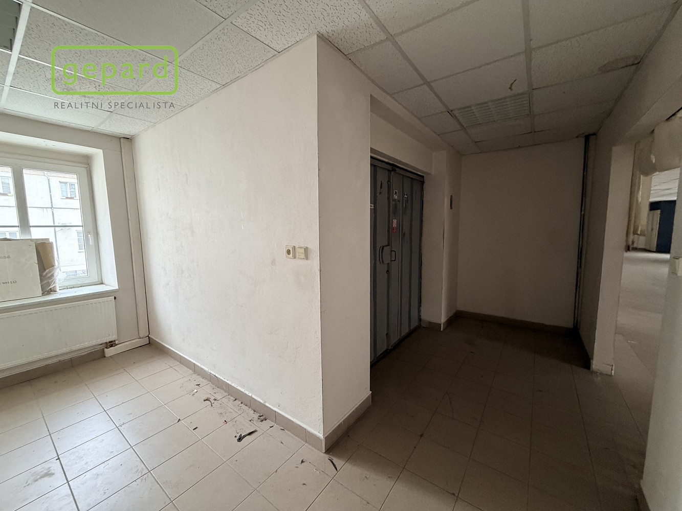 Pronájem obchodních prostor 305 m² – fotografie 4