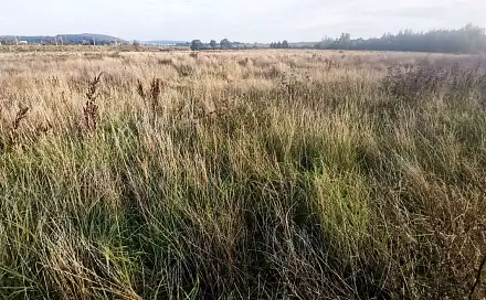 Prodej stavebního pozemku 1 513 m²