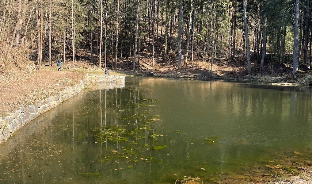 Prodej stavebního pozemku 3 530 m², Krhanice – náhled fotky 10