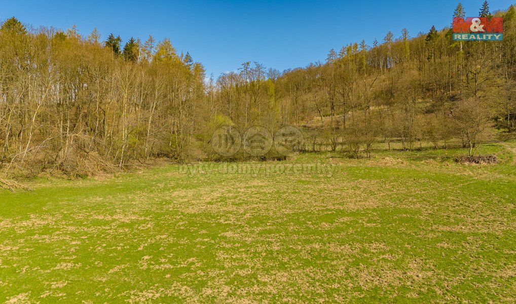 Prodej zahrady 2 841 m², Třebušín – náhled fotky 2