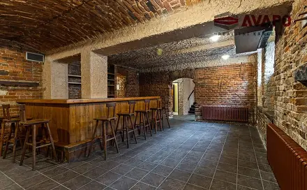 Prodej obchodních prostor 166 m², Na Rybníčku, Opava - Předměstí