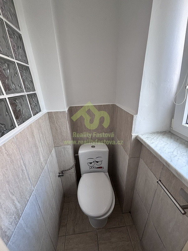 Pronájem bytu 2+1 56 m² – fotografie 5