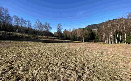 Prodej pozemku 11 266 m², Bernartice, okres Trutnov