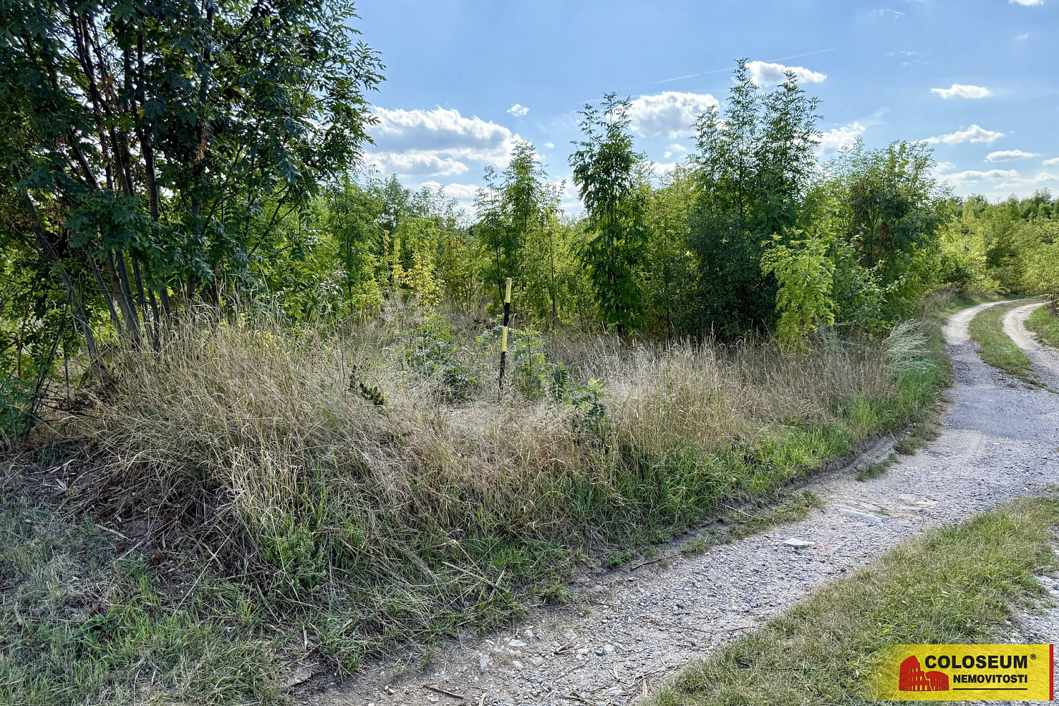 Prodej komerčního pozemku 21 190 m² – fotografie 4