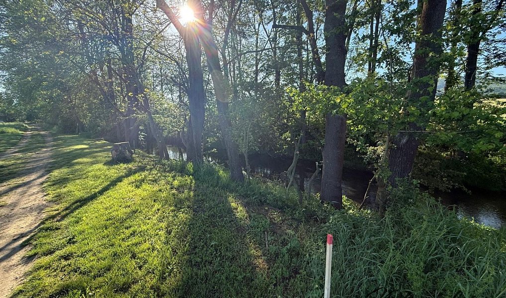Prodej zahrady 1 297 m², Záhorovice – náhled fotky 4