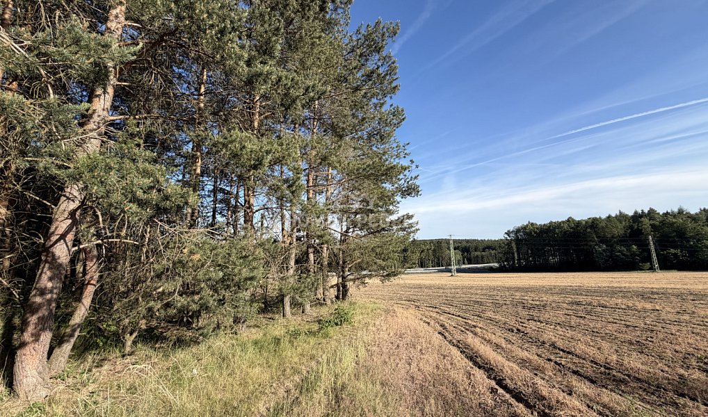 Prodej lesa 4 000 m², Háje – náhled fotky 8