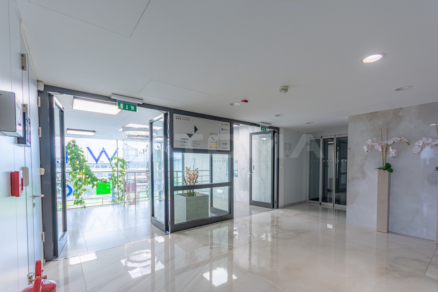 Pronájem obchodních prostor 242 m² – fotografie 2