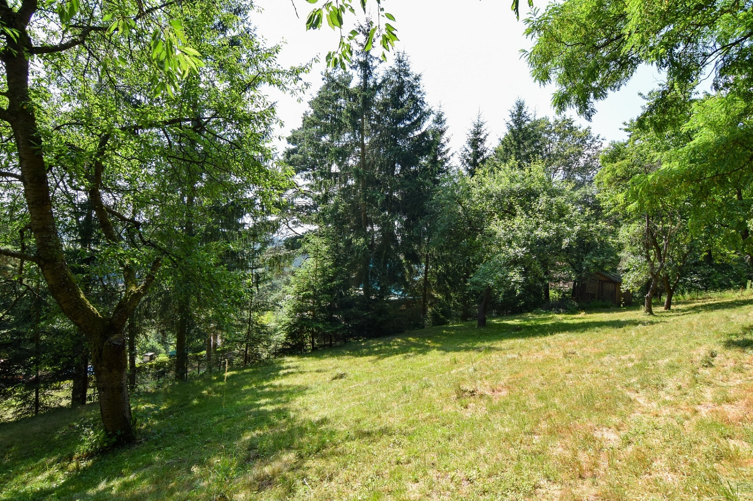 Pronájem zahrady 1 015 m² — photo 3