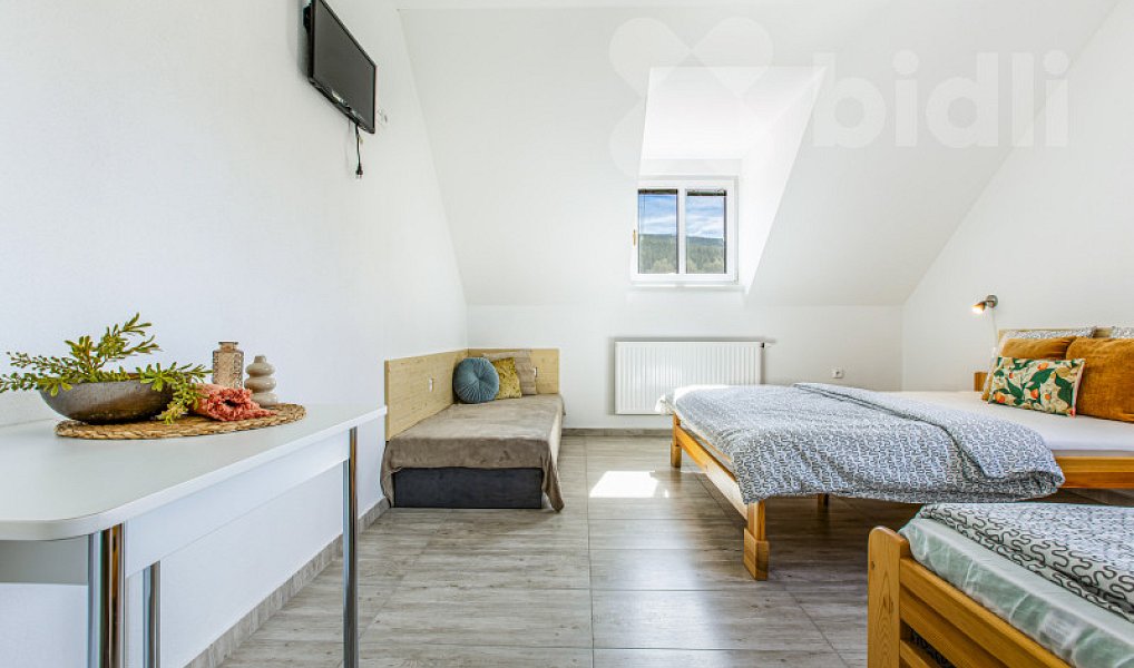 Prodej domu 230 m² s pozemkem 4 000 m², Horní Stropnice – náhled fotky 19