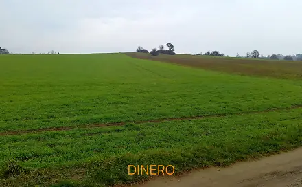 Prodej stavebního pozemku 6 983 m², Náměšť nad Oslavou, okres Třebíč