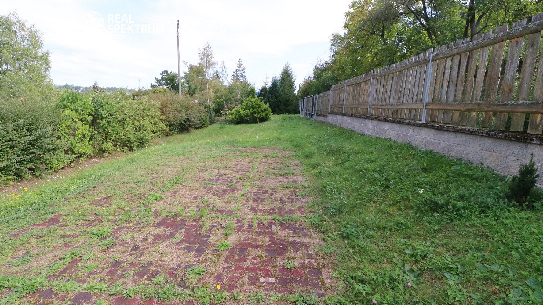 Fotka 4 z 6