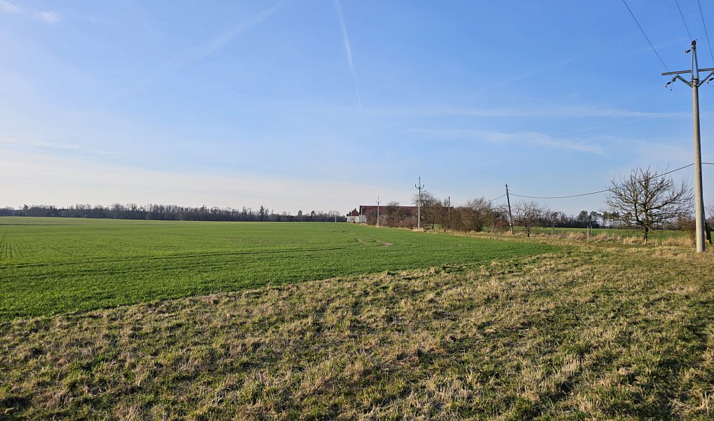 Prodej chalupy 113 m² s pozemkem 222 m², Zálesí – náhled fotky 9