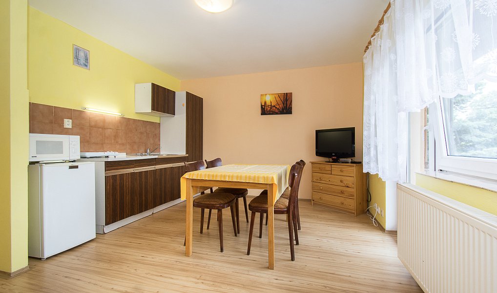 Prodej nájemního domu, činžáku 550 m², Heřmaničky – náhled fotky 11