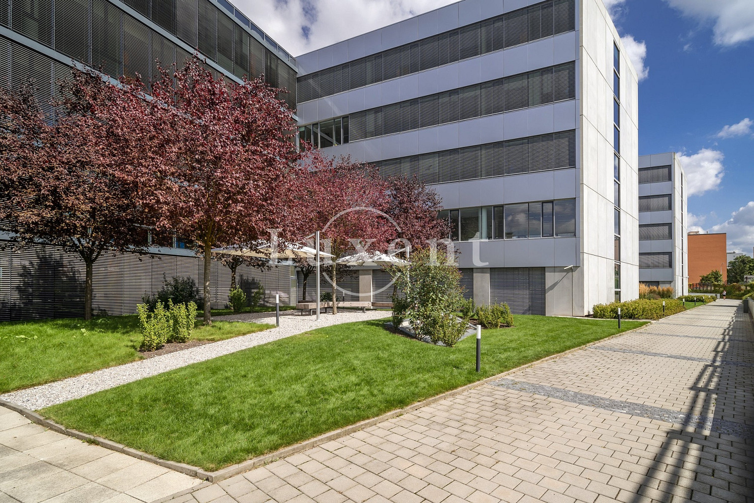 Pronájem obchodních prostor 630 m² – fotografie 5