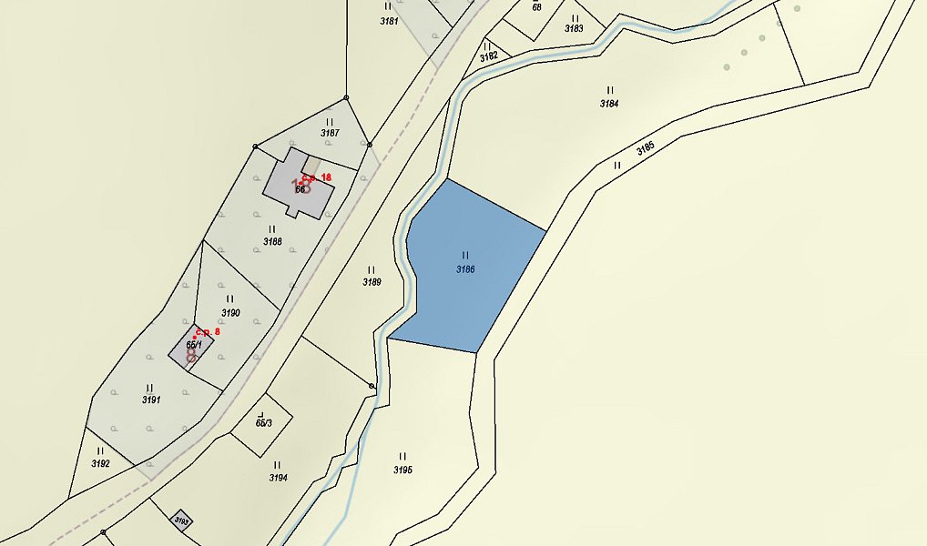 Prodej louky 867 m², Výprachtice – náhled fotky 4