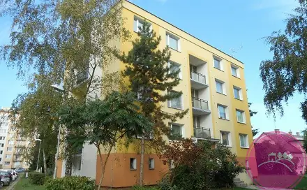 Pronájem pokoje 65 m², Nešporova, Olomouc - Povel