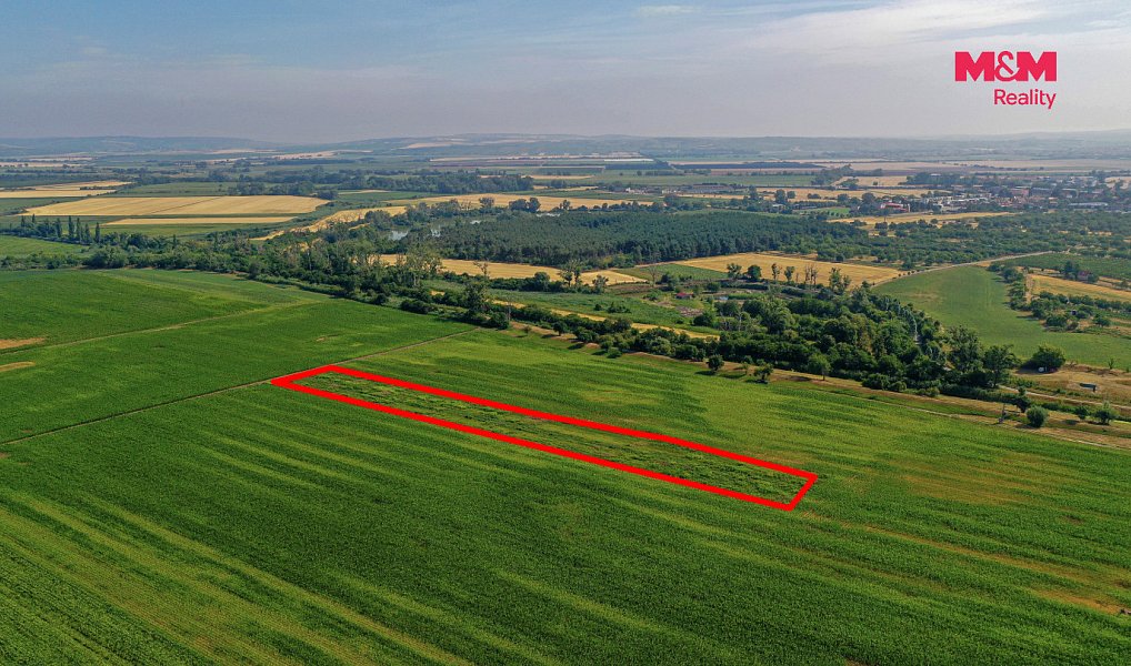 Prodej pole 9 227 m², Podivín – náhled fotky 14