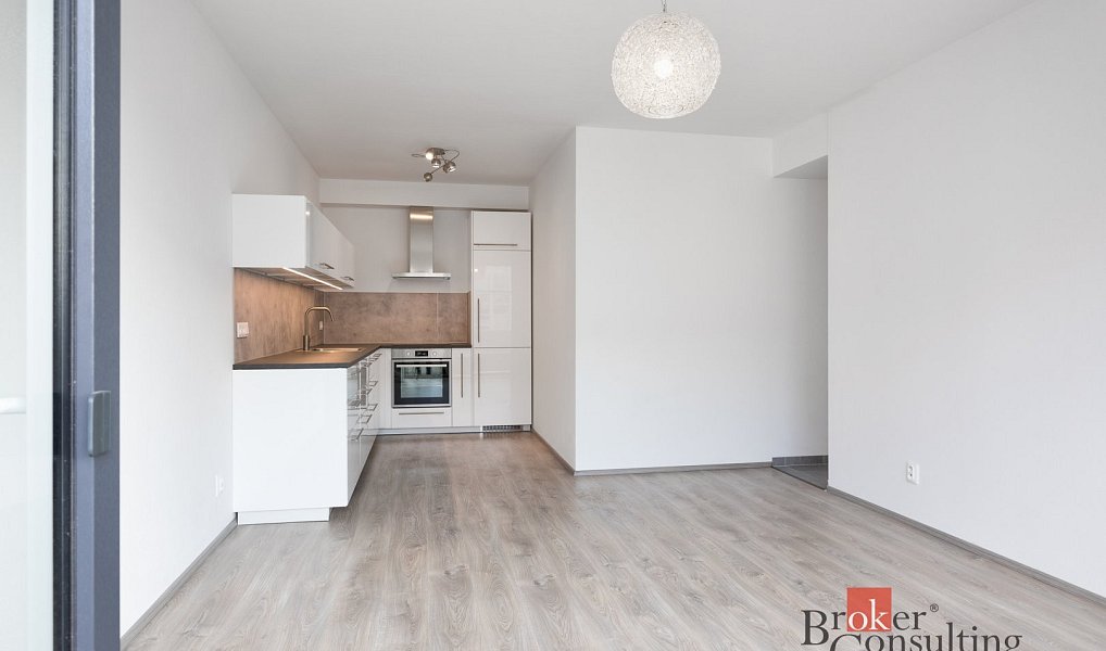 Pronájem bytu 2+kk 50 m², Plzeň – náhled fotky 5