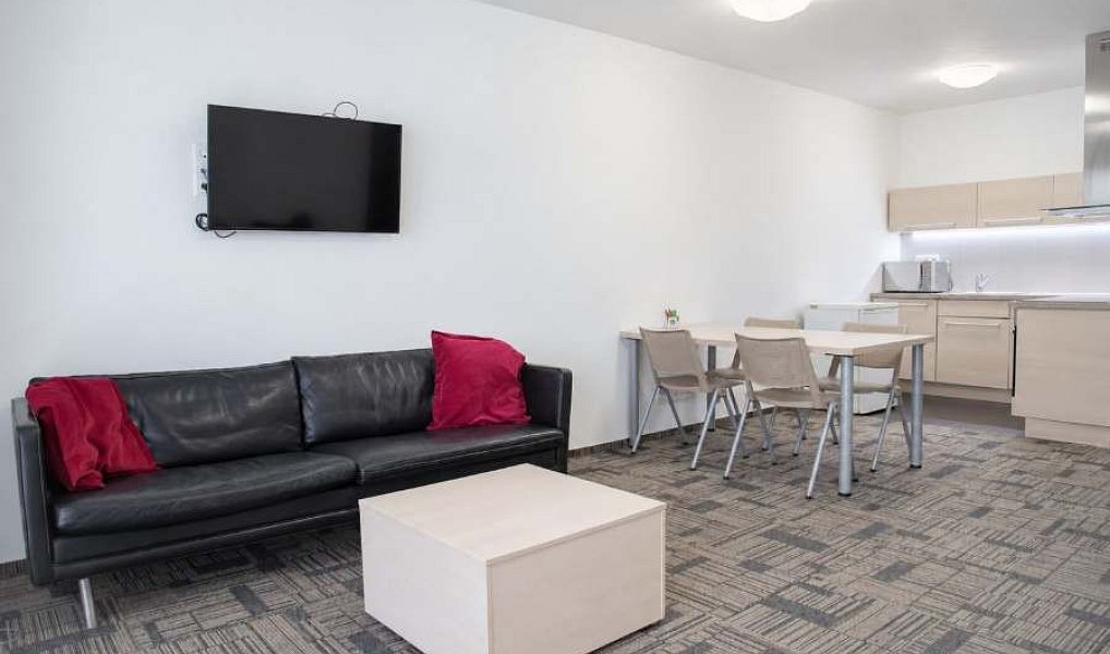 Prodej bytu 4+kk 126 m², Brno – náhled fotky 7