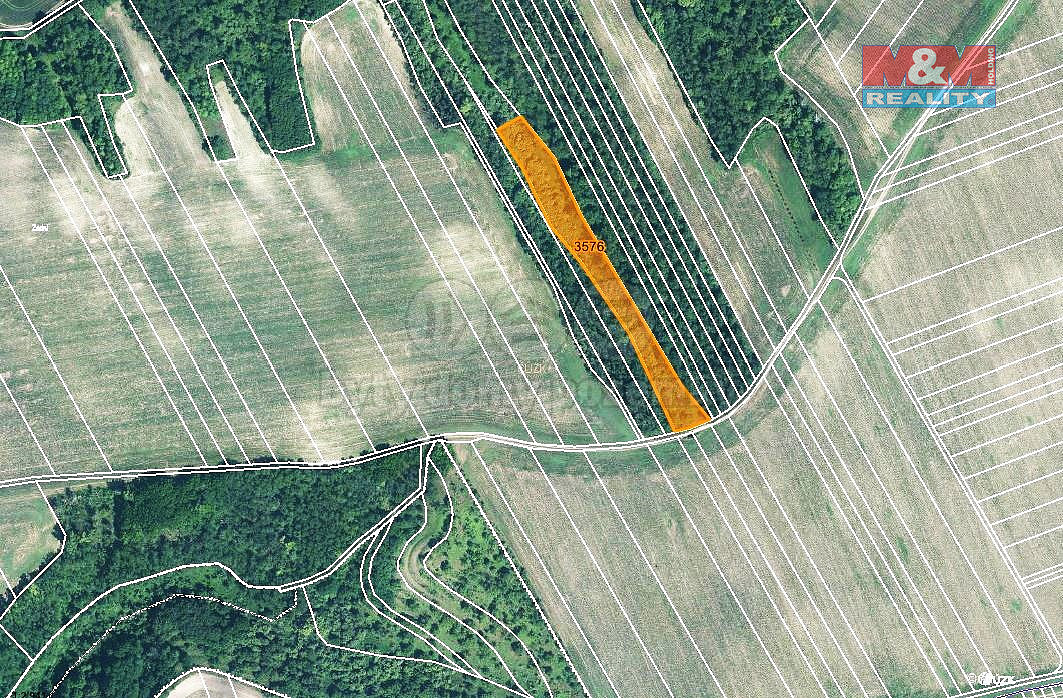 Prodej pole 5 686 m² — photo 4