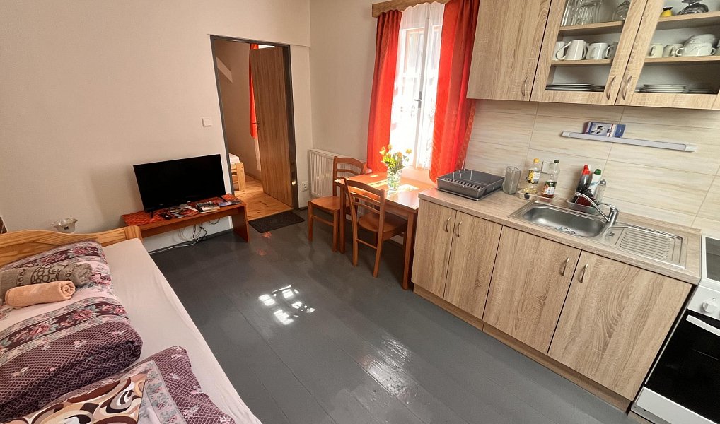 Prodej komerčního objektu (jiného typu) 190 m², Šluknov – náhled fotky 8