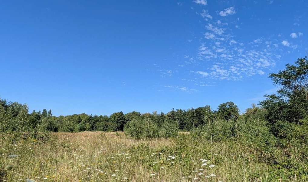 Prodej stavebního pozemku 1 155 m², Mariánské Radčice – náhled fotky 5