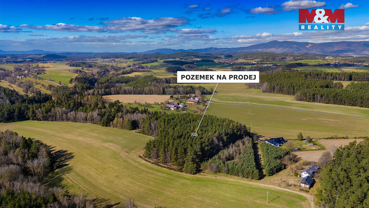 Fotka 12 z 12