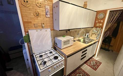 Prodej bytu 2+1 53 m², Eduarda Ušela, Velké Opatovice, okres Blansko