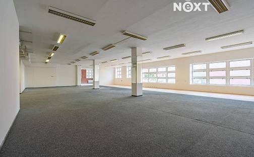 Pronájem obchodních prostor 753 m², Urbinská, Český Krumlov - Domoradice