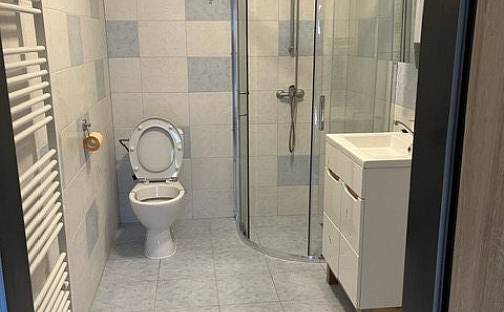 Pronájem bytu 2+1 55 m², Bořetice, okres Břeclav