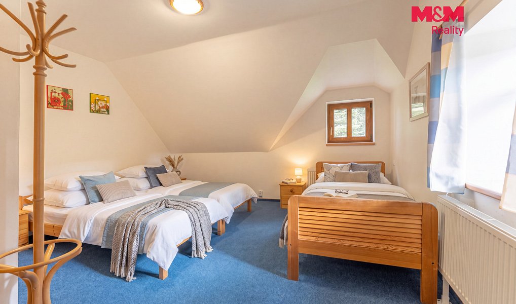 Prodej domu 270 m² s pozemkem 992 m², Loučná pod Klínovcem – náhled fotky 18