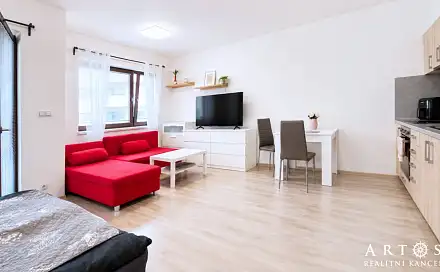 Pronájem bytu 1+kk 42 m²