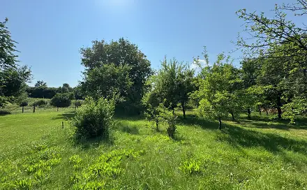Prodej stavebního pozemku 529 m², Rájec, okres Šumperk