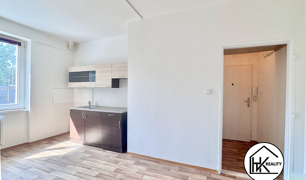 Pronájem bytu 1+kk 21 m², Teplice – náhled fotky 6