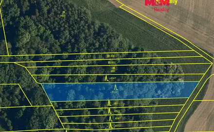 Prodej lesa 1 682 m², Hostišová, okres Zlín