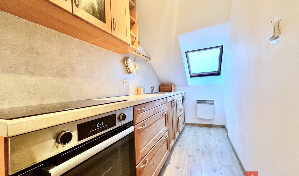 Pronájem bytu 1+1 40 m², Opava – náhled fotky 10