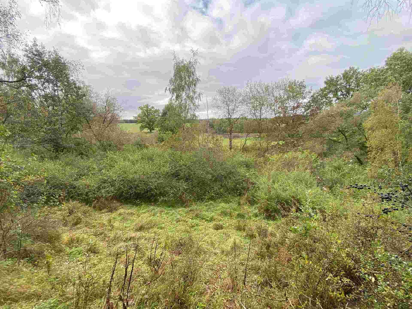 Prodej pozemku 10 042 m² – fotografie 3