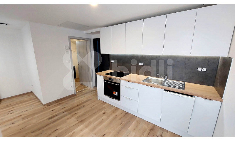 Pronájem bytu 1+kk 30 m²