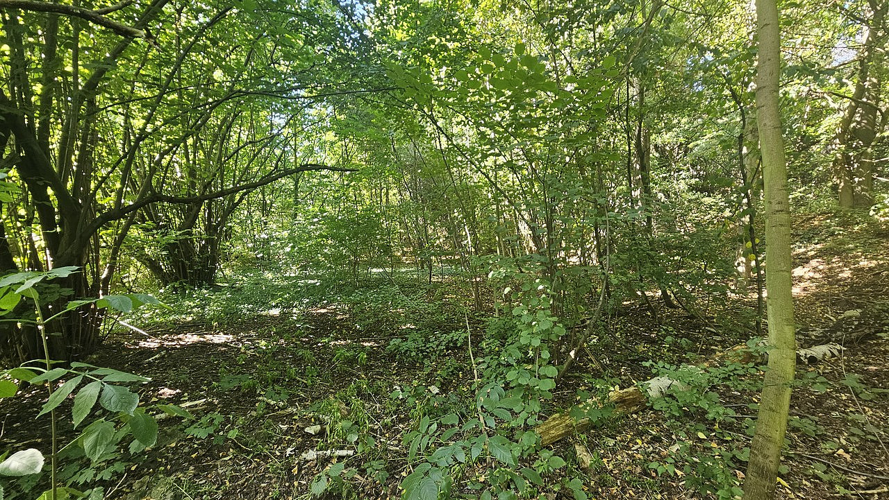 Fotka 17 z 17