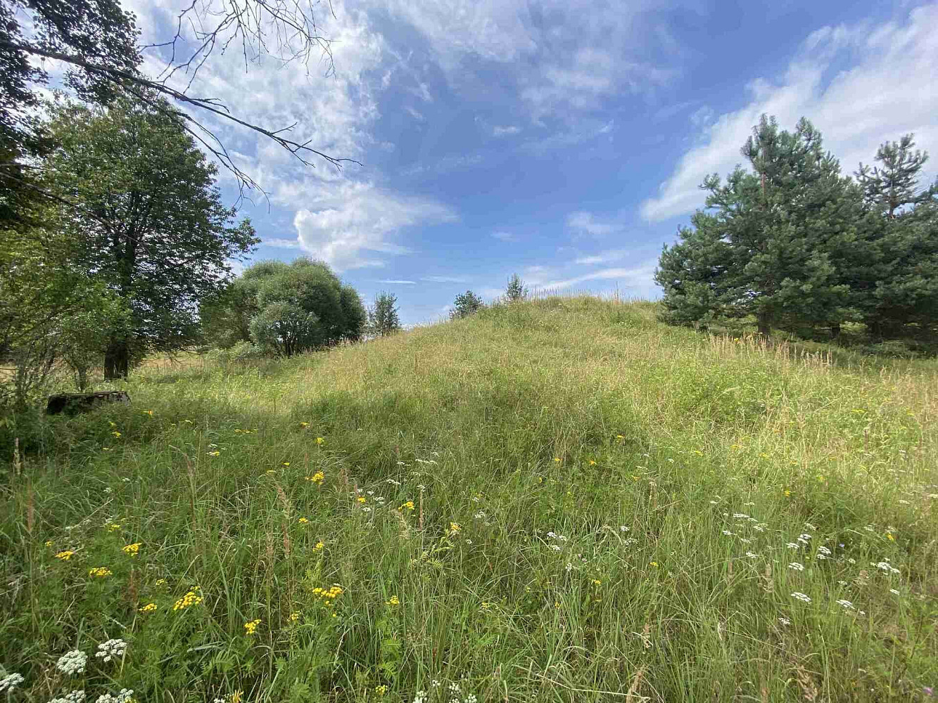Prodej pozemku 6 986 m² – fotografie 5